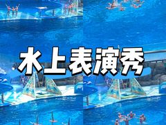 -海合安成都极地海洋公园