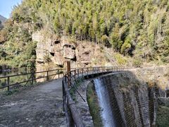 -庐山碧龙潭风景区