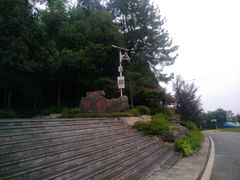 景点-铁山坪森林公园