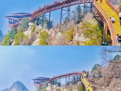 -少华山国家森林公园