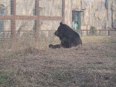 -祥源·阜阳生态乐园