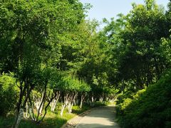 -天鹅湖体育公园