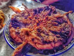 -金鹏鱼肉馆