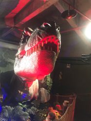 -恐龙探索乐园(磁器口店)