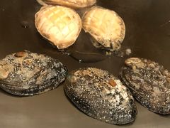 -羽山料理