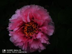 -仁和公园(顺义区)