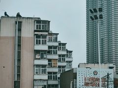 -天鹅湖体育公园