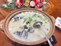 姜君千岛湖鱼头-姜君·千岛湖鱼头馆(浦东大道店)