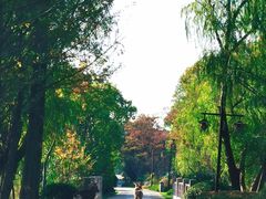 -苏州太湖国家湿地公园