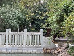 -八大山人梅湖景区