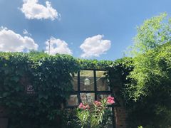 -西西这里民谣酒馆