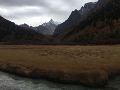 -稻城亚丁景区-冲古草甸