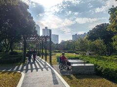 -四海公园(南山区)