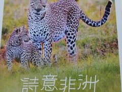 -好利来(团结湖店)