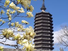 -西海子公园