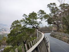 -福道