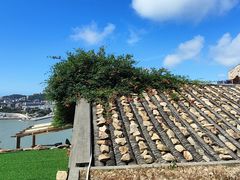 -温岭石塘海边