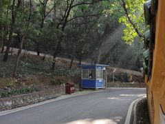 -三门江国家森林公园