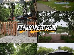 -梁鸿国家湿地公园