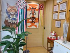 -猫十亿·布偶金渐层·曼基康矮脚猫舍(青年路店)