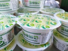 -德禄酸奶(莫家街店)