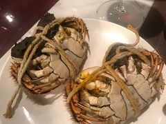 -龙之梦万丽酒店青餐厅
