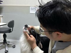 -谐和益家动物医院·免疫绝育·血液透析·宠保定点医院(高新伊藤分院)