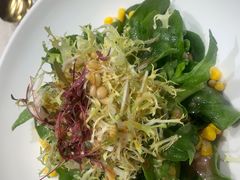 桃仁拌苦菊-品悦酒店(三林古镇店)