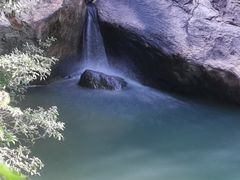 -广州白江湖森林公园