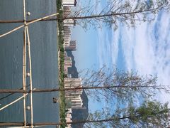 -飞来湖湿地公园