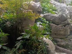 -石钟山