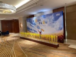 点击看大图 -上海雅居乐万豪侯爵酒店·宴会厅