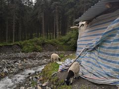 -硗碛藏寨·神木垒景区