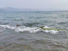 -月亮湾湿地公园