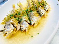 -骏莱海鲜鱼港(五角场店)