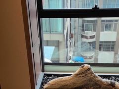 -七欣天香辣蟹火锅(苏州相城VIP总店)