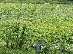 -湘鄂西苏区革命烈士陵园