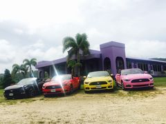 -丽姐租车