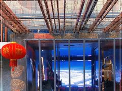 -新盈光·旗舰店(海曙苍松路店)
