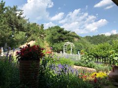 -云峰山自然风景区