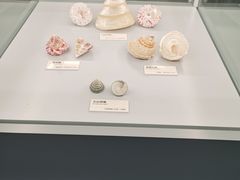 -天津古林古海岸遗迹博物馆