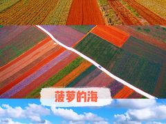 -赤坎老街