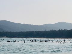 -后海村