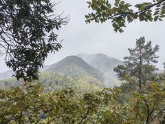 -莫干山风景区