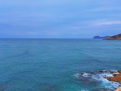 -广东惠东海龟国家级自然保护区