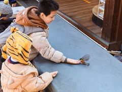 -五女峰国家森林公园