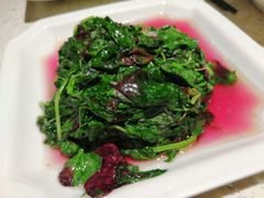 蒜泥炒米苋-阿莉餐厅(枣阳路店)