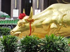 -盈丰路(地铁站)