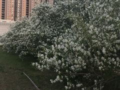 -长春公园(普阳街道)