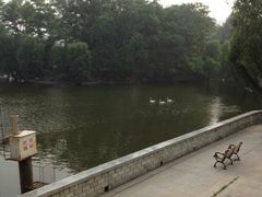 android_upload_pic-石家庄市动物园